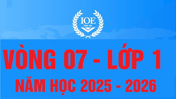 Đáp án IOE Tiếng Anh lớp 1 vòng 7 năm học 2025-2026
