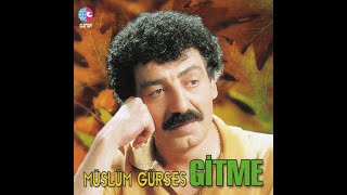 Müslüm Gürses - Akli Yok Resimi