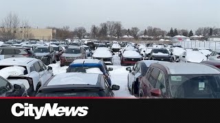 Canadian government cracks down on auto thefts, sees positive results