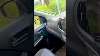 Elephant Encounter Takes a Startling Turn on the Road