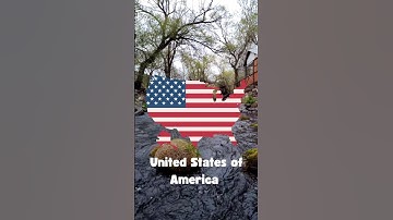 Guess the country by it