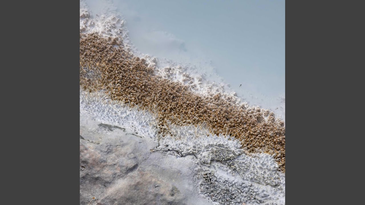 Sharp Full auf YouTube ansehen Sharp Full auf YouTube ansehen