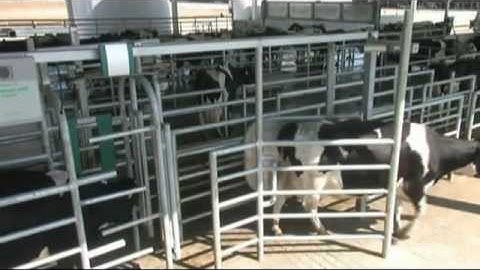 GEA Farm Technologies - AutoSelect Sort Gates