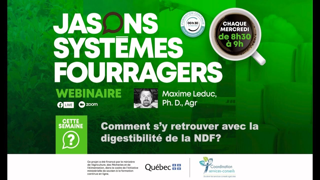 Ndf Ruminants Qu'est-ce que la digestibilité de la fibre NDF pour l'alimentation des ...