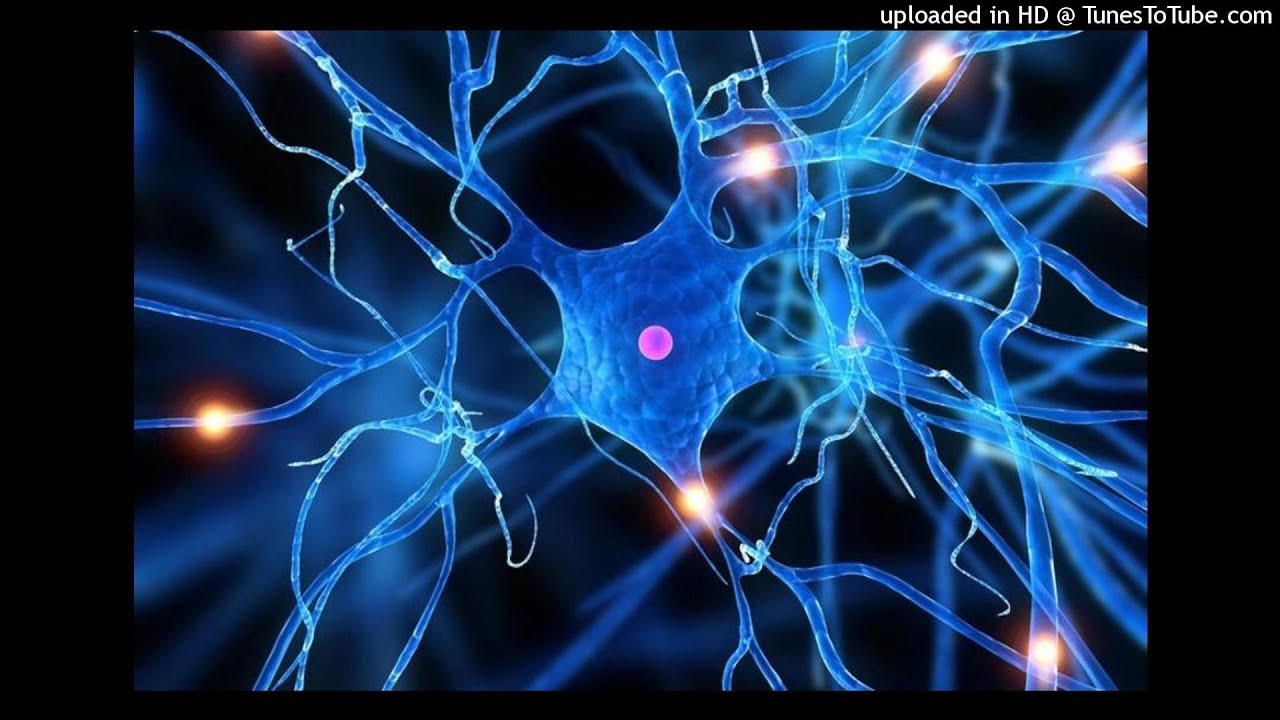 RASTAFURIA - IMPULSOS