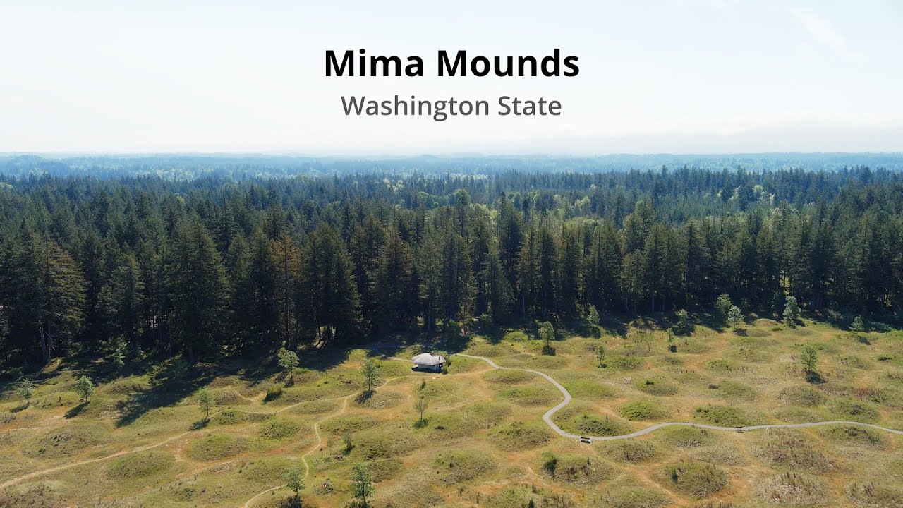 Mysterious Mima Mounds
