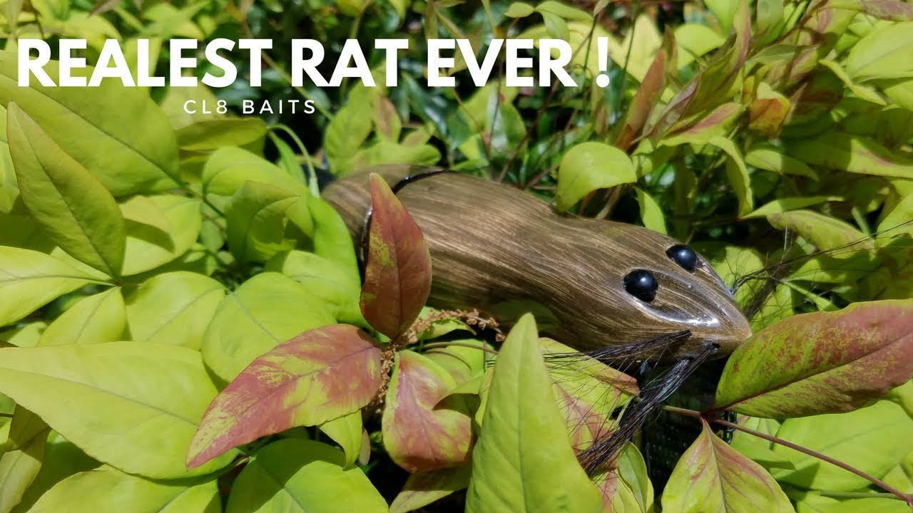 Cl8 Musk Rat Swimbait: Handmade Topwater Lure!! 