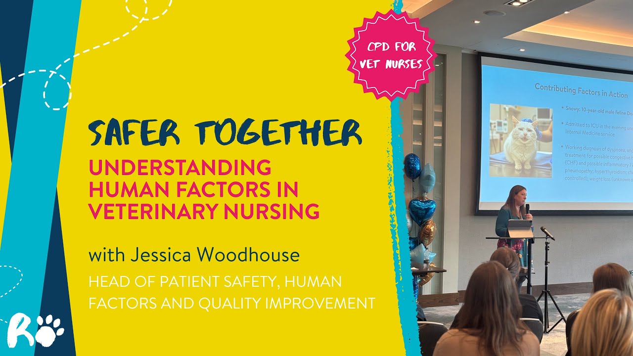 Safer Together: Understanding Human Factors in Veterinary Nursing