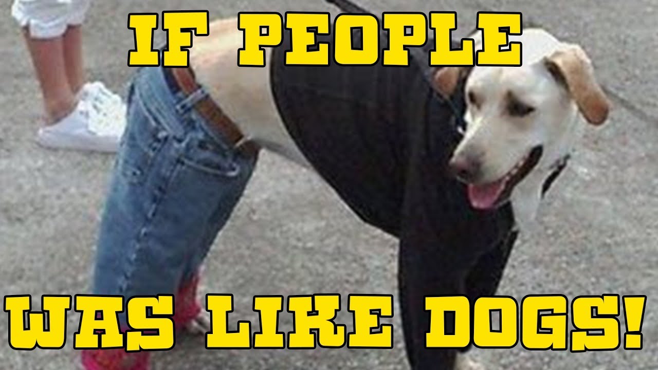 If People Was Like Dogs!! YouTube