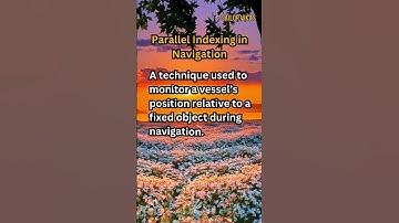 Parallel Indexing in Navigation Explained in 10 Seconds! #ShipSafety