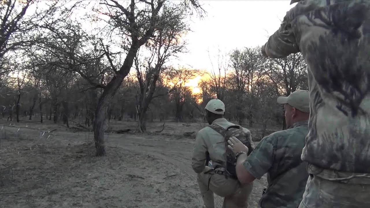 Bow Hunitng Cape Buffalo with Spiral Horn Safaris
