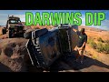 Darwins Dip Gets Another