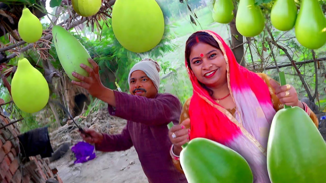 Lauki ki sabzi ऐसे बनायें लौकी की सब्ज़ी तो सब माँग -माँग कर खाएँगे 