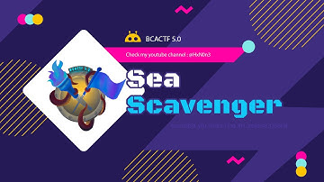 BCACTF 5.0 Writeup | Sea Scavenger | Web-Forensic Challenge