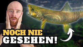 Noch nie habe ich DIESES TIER gesehen..... BIS JETZT! | RasasWelt