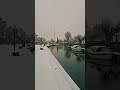 snow ❄️ #winter #snow #1million #1k #youtubeshorts #youtube #1 #friesland