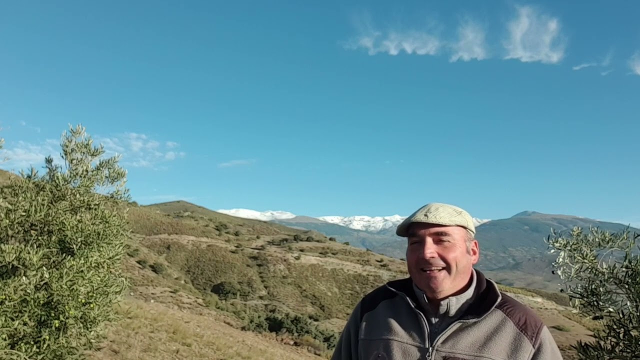 EL CARBONERO Gestionando los Conejos 