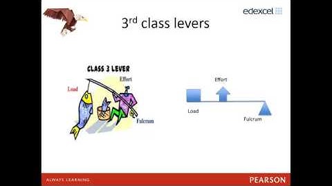 GCSE PE (9-1) Topic 2: Movement Analyis