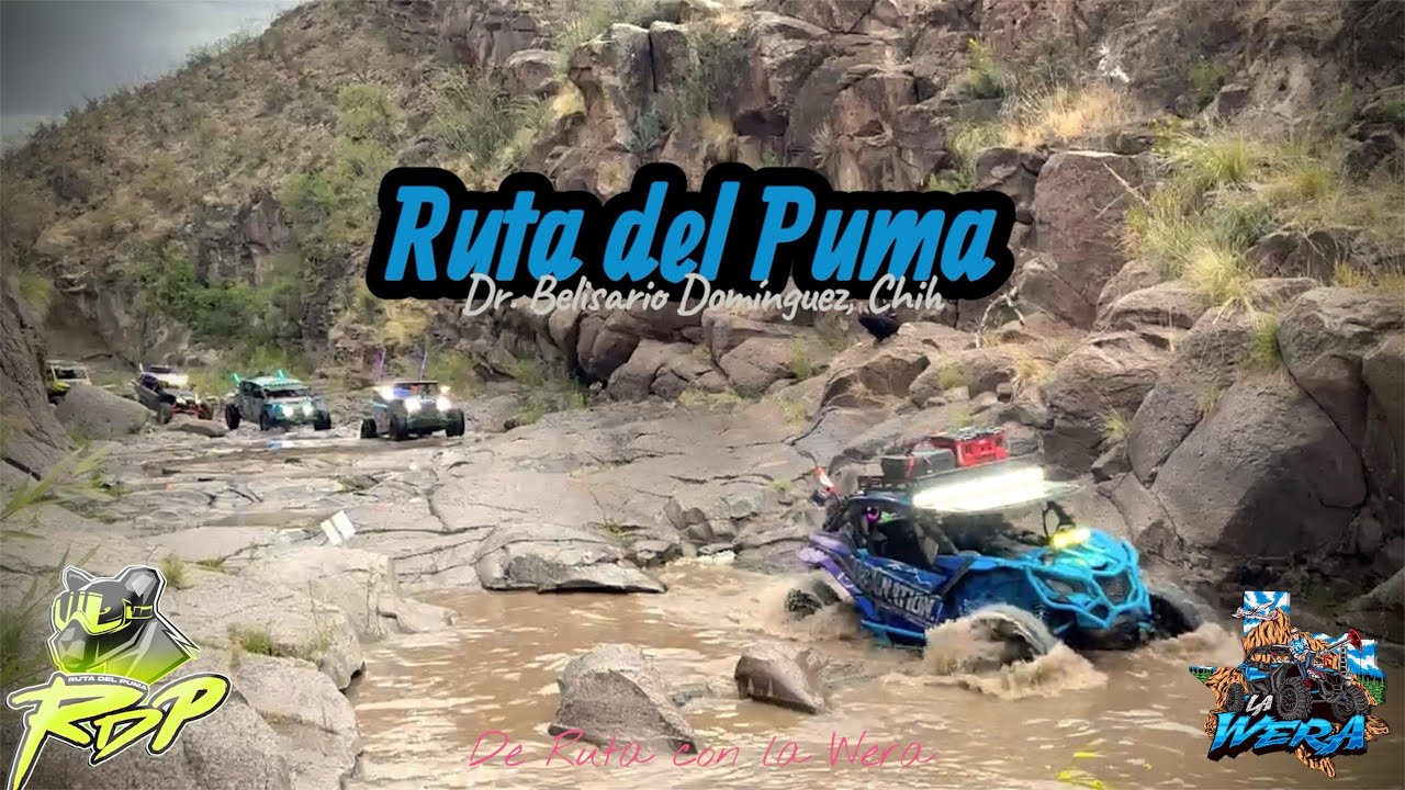¡Adrenalina Total! Ruta del Puma 2025 en Dr. Belisario Domínguez, Chihuahua 🚙💨