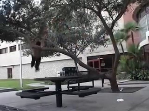 Parkour Daniel Arroyo