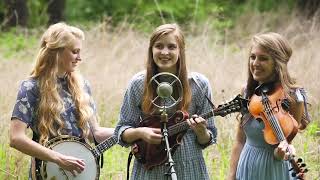 Vignette de la vidéo "Fields of Gold - The Petersens (LIVE)"