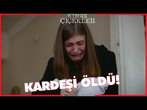 Kırgın Çiçekler Özel Kısa Bölümler | 207