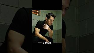 The Prisoner Actually Escaped With The Help Of Ants