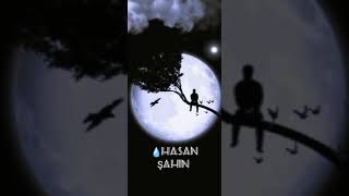 Hasan Şahin - Akşam