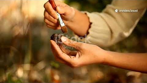 Declutter to De‑stress  75s Calm Reset