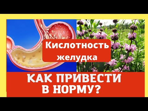 Кислотность желудка. Как привести в норму? Домашний лечебник