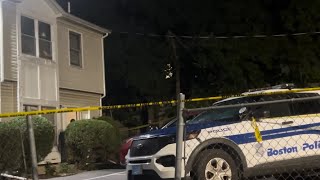 Dog fatally shot by Boston officers after mauling woman, police say