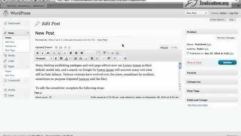 WordPress - How to create an excerpt