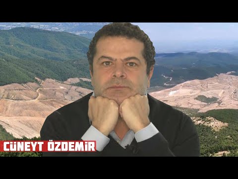 KAZ DAĞLARINI NASIL TALAN ETMİŞLER?