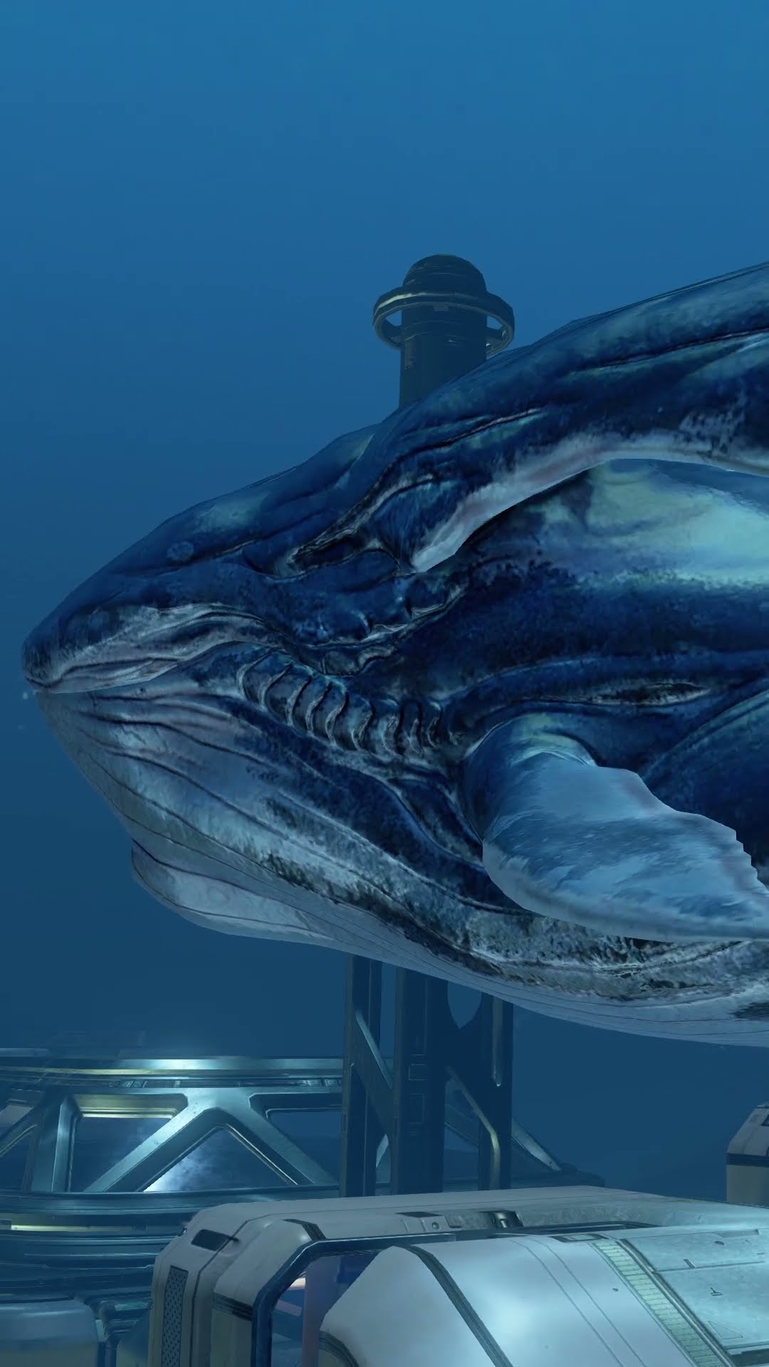 Drift into the deep and celebrate the ocean’s gentle giants today