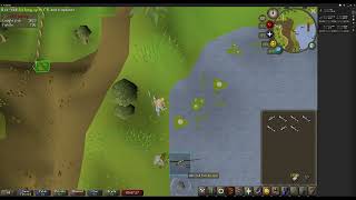 2022021602 runescape