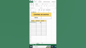 Cómo Hacer un Control de Gastos en 30 Segundos en #excel