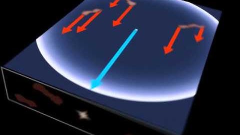Dissecting a Light Echo