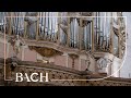 Bach - Liebster Jesu, wir sind hier BWV 731 - Wiersinga | Netherlands Bach Society