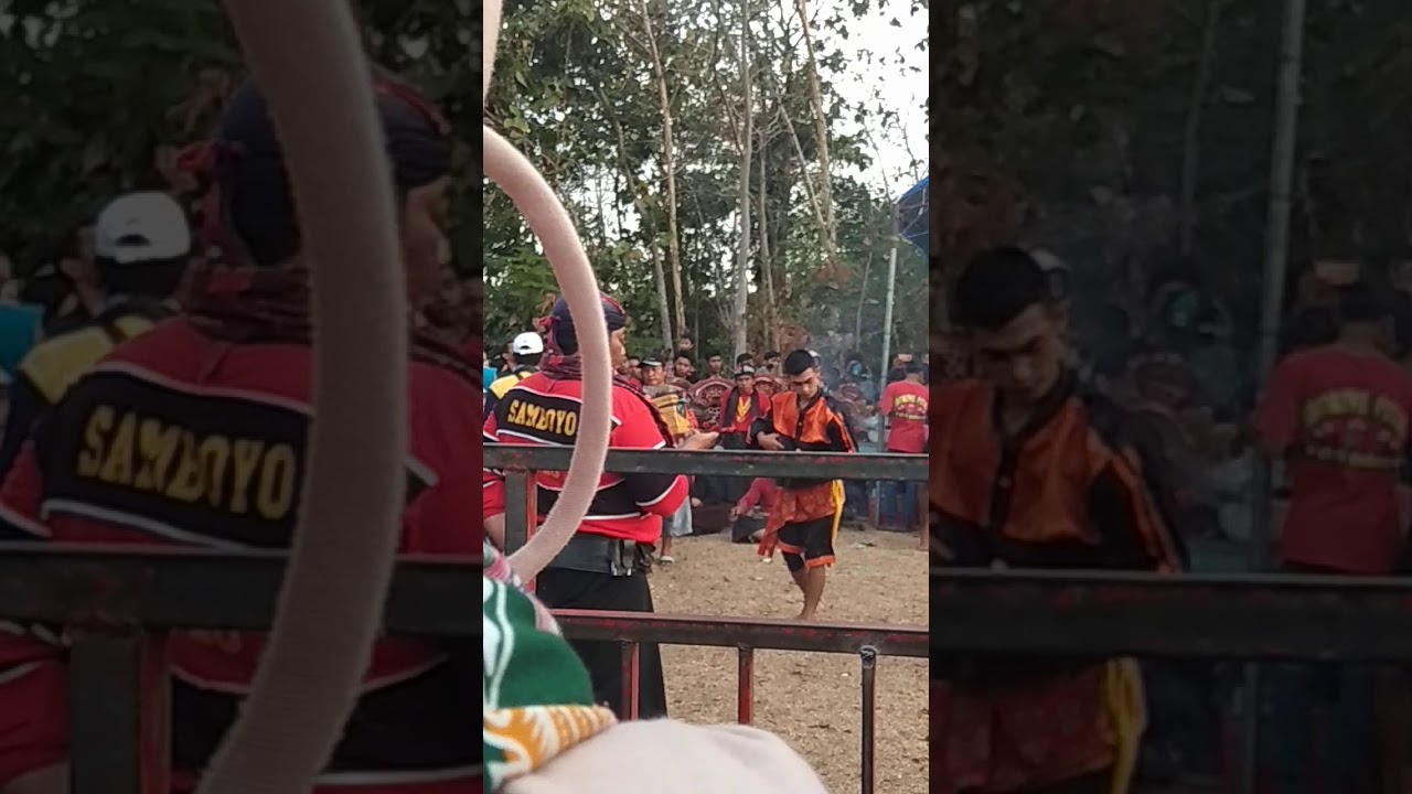 Samboyo Putro life mojo kediri