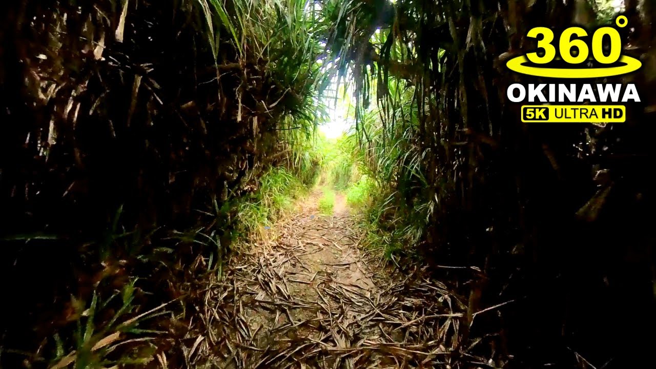 【360°ツー ADV150】（続き）瀬底のしっぽから帰る（虫無し）