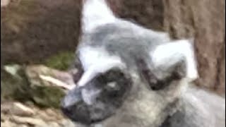 Wobbly Wiggly Wobble Wiggly