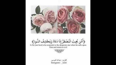 سورة النمل - عبدالله الموسى .