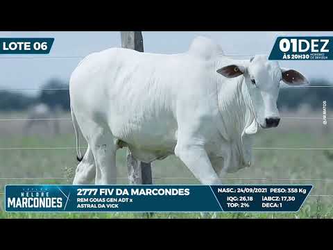 LOTE 06   MMAR 2777