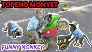 FUNNY MONKEY, TOPENG MONYET LUCU FULL ATTRACTION JUAL BAKSO DAN SHOLAT