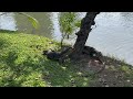 Lumphini Park Bangkok สวนลุมพินี 2025