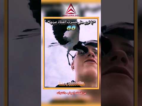 انظر ماذا فعل الطائر بهذه الفتاة