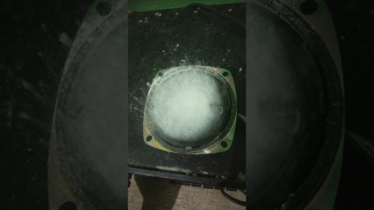 hard bass 🔊 check 😱 shorts #