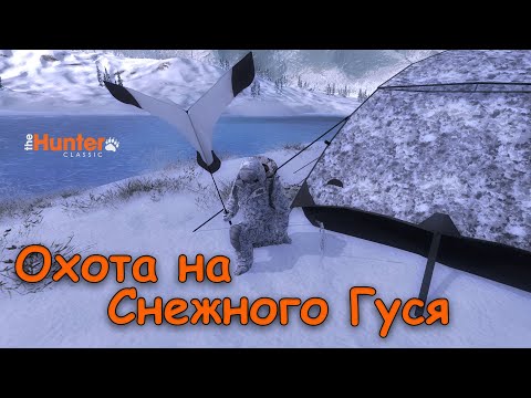 Видео: Охота на Снежного Гуся ! Обзор набора за 3500 em$