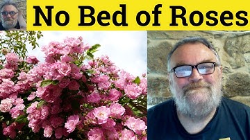 😎 Bed of Roses Meaning - No Bed of Roses Defined - Not a Bed of Roses Definition - Bed Of Roses