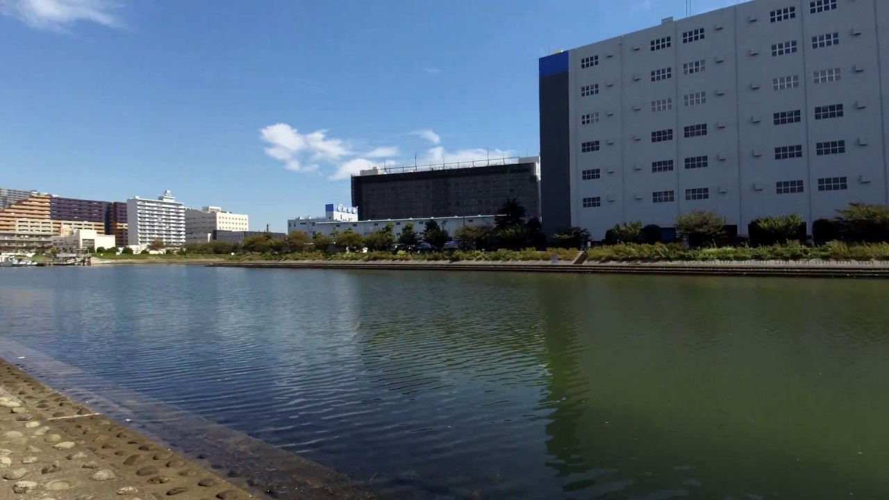 REMOVU K1 3軸ジンバル一体型4Kカメラ 4K撮影 - YouTube